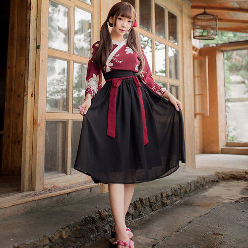 Blesssafe Womens Traditional Chinese Lingerie Hanfu Dress Costume Lolita Anime Cosplay Kimono Outfit Blesssafe